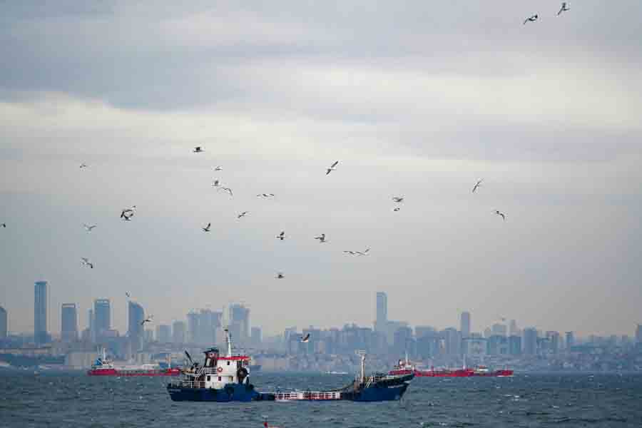 Zeytinburnu Web Design Companies | Istanbul | Website Company