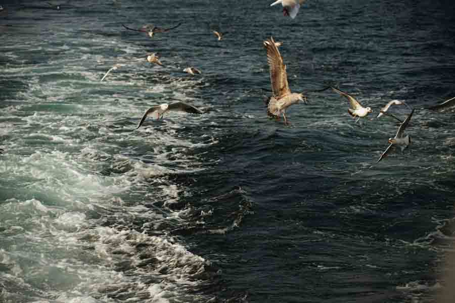 Tuzla Web Design Companies - Netürk Web Design Company