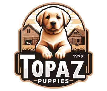 Topaz Puppies Web Design