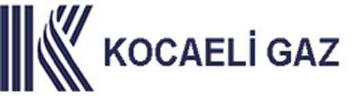 Kocaeli Gaz Web Design
