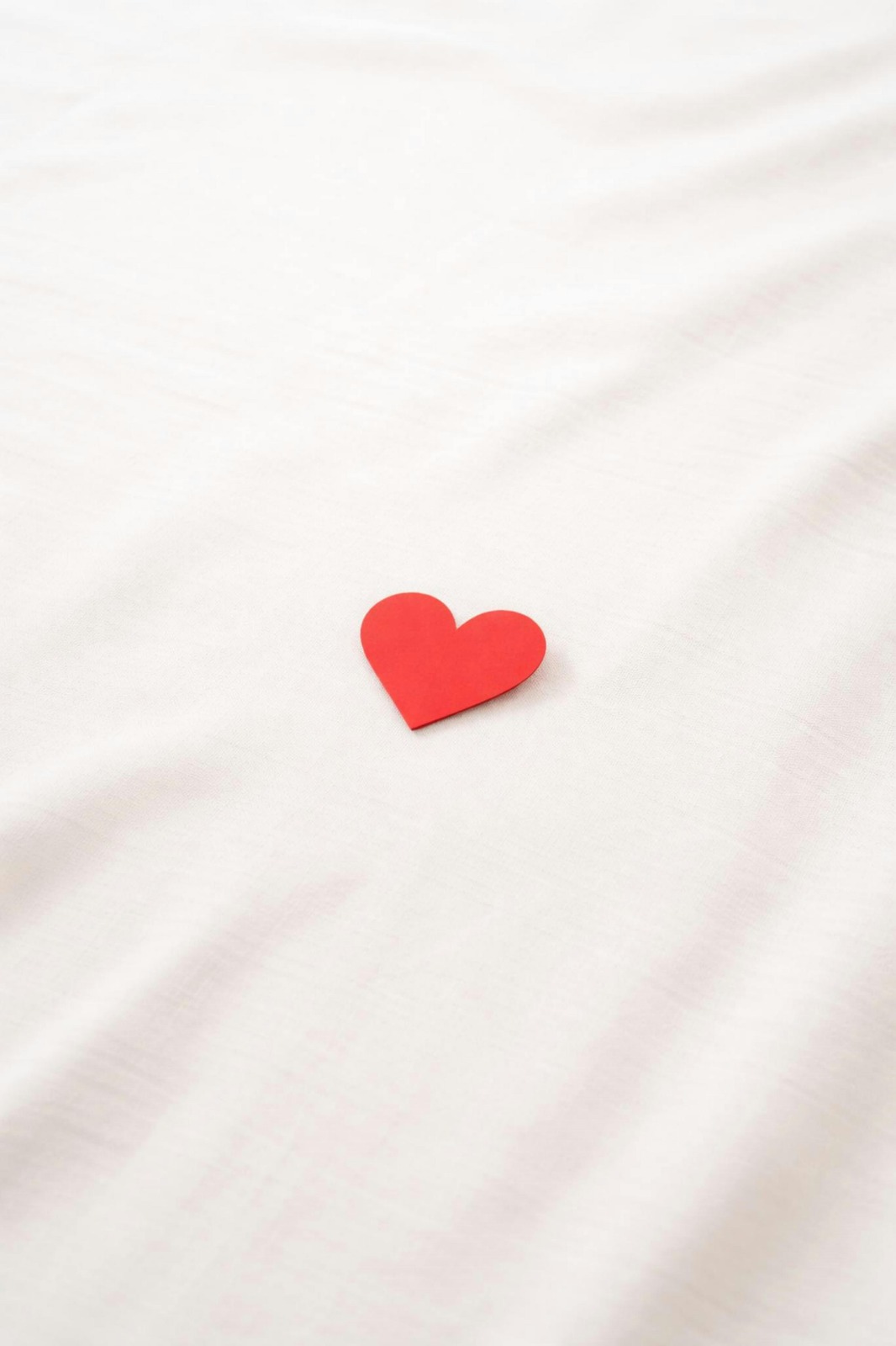 Müşteri Yorumları